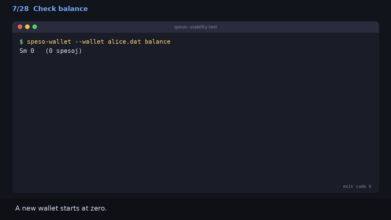 Check balance: A new wallet starts at zero.